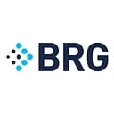 Berkeley Research Group