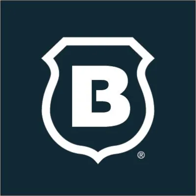 Brinks home security