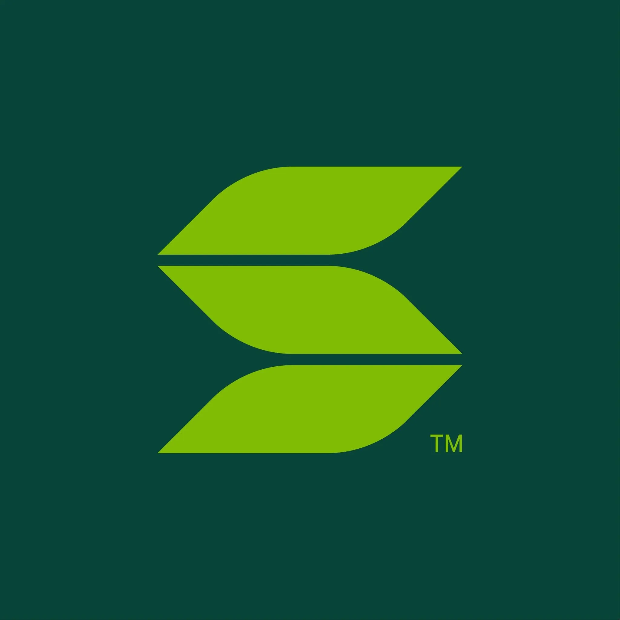 Sagesure insurance managers