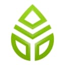 Sourgum