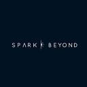 SparkBeyond